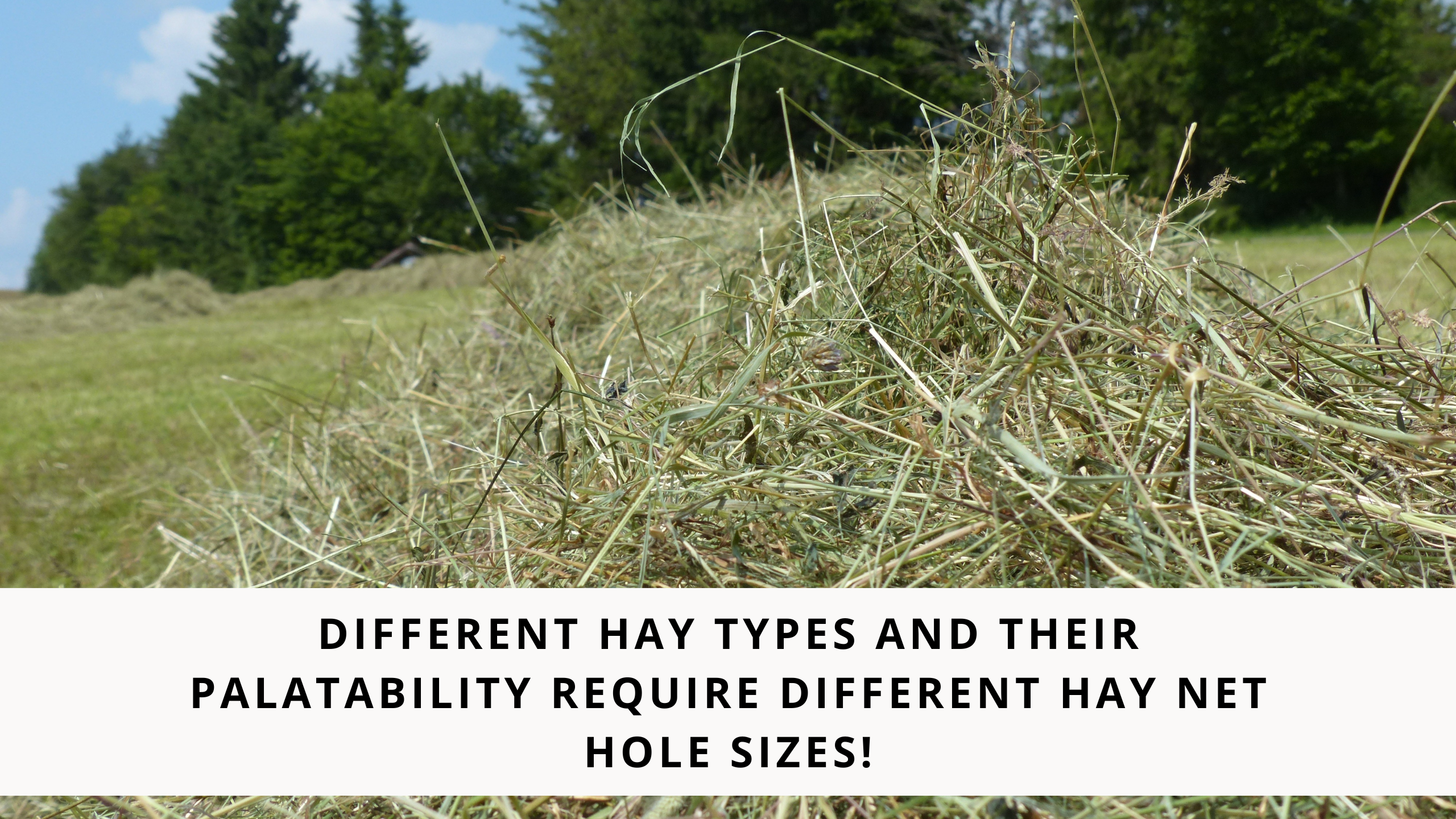Different hay types and their palatability require different hay net h