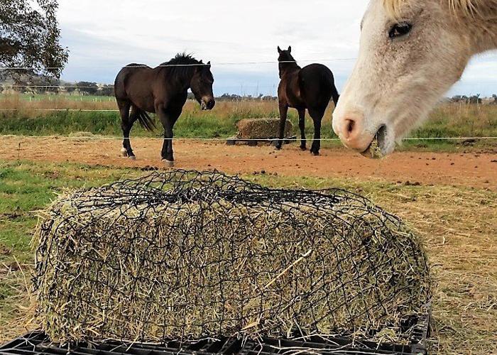 GutzBusta® Knotted Hay Nets - Large-01