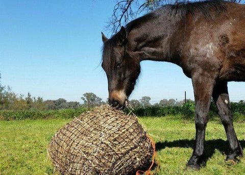 Knotted Hay Nets - Medium