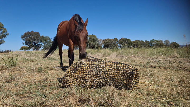 Knotless Hay Nets - Large