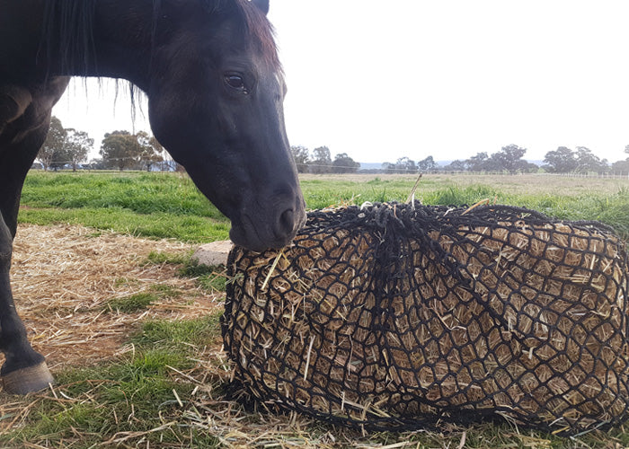 Knotless Hay Nets - Large