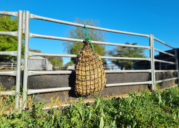 Knotless Hay Nets - Small