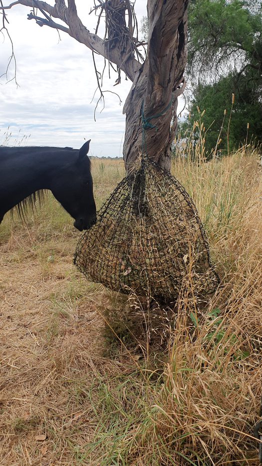 GutzBusta Knotted Hay Nets - Large