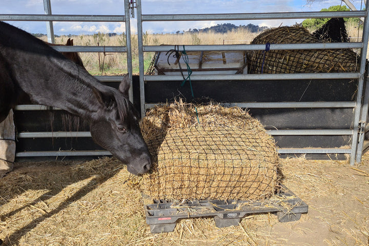 GutzBusta Knotted Hay Nets - Large