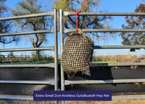 Knotless Hay Nets - Extra Small