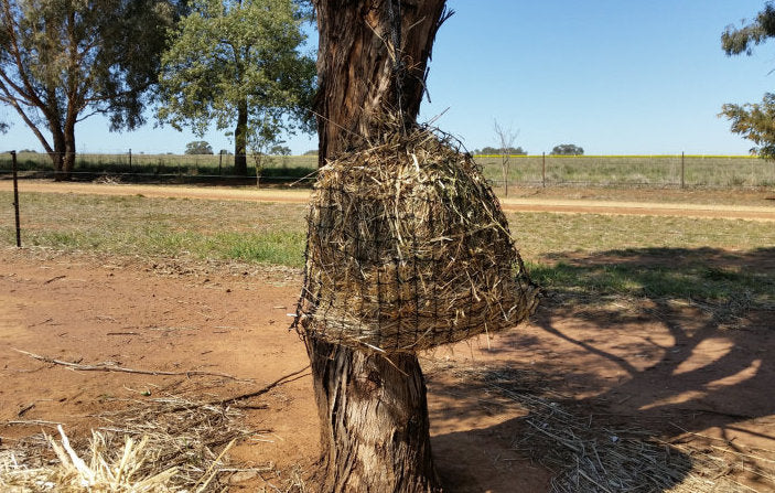 Ed Hay Knotted Hay Nets - Small – Gutzbusta UK