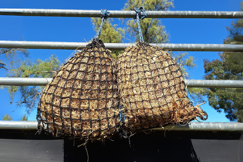 Hay Net Finder - Find the Perfect Hay Net with Ease!