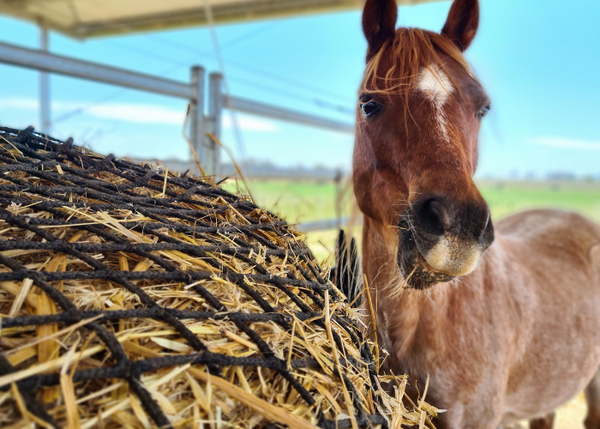 Knotless Hay Nets - 5'x4' Round Bale